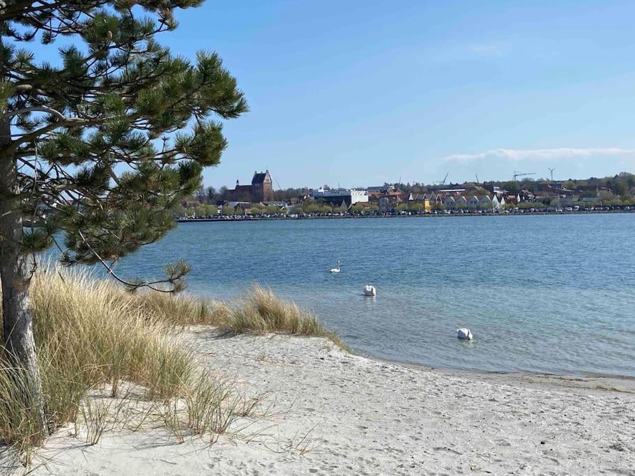 Seaview, Beach, Sunsets, Nature Heiligenhafen Eksteriør billede